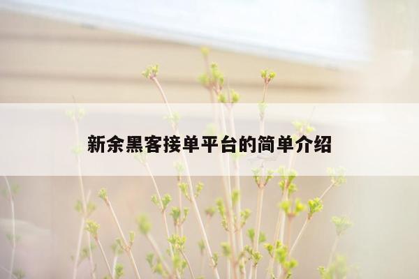 新余黑客接单平台的简单介绍