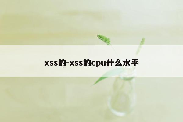 xss的-xss的cpu什么水平