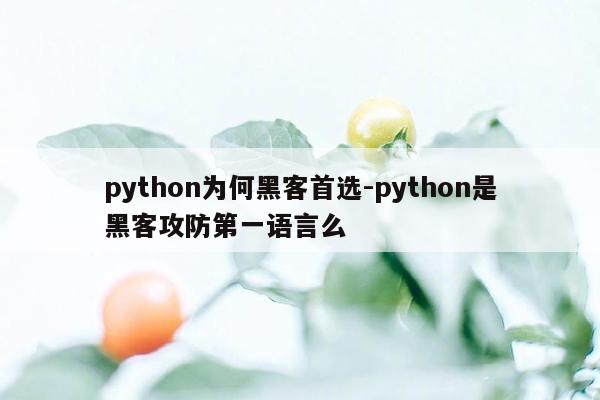 python为何黑客首选-python是黑客攻防第一语言么