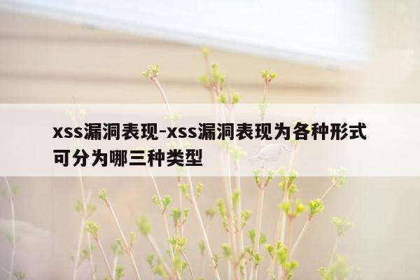 xss漏洞表现-xss漏洞表现为各种形式可分为哪三种类型