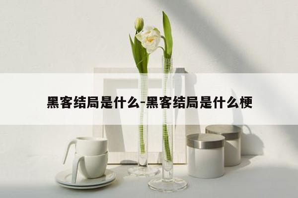 黑客结局是什么-黑客结局是什么梗