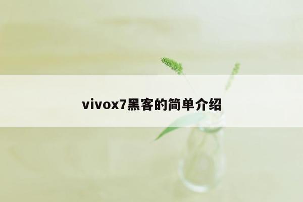 vivox7黑客的简单介绍