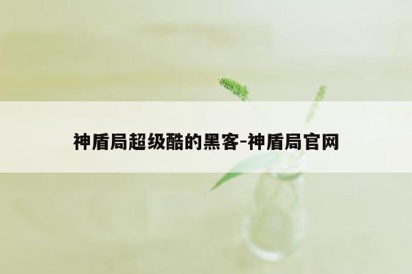 神盾局超级酷的黑客-神盾局官网