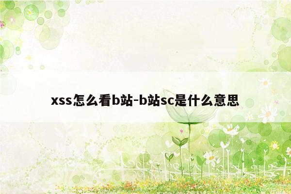 xss怎么看b站-b站sc是什么意思