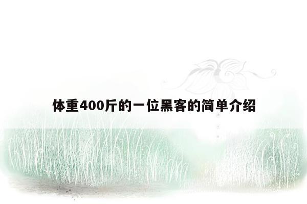 体重400斤的一位黑客的简单介绍