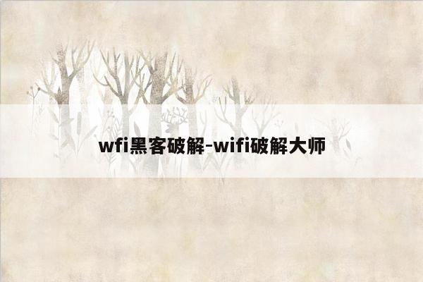 wfi黑客破解-wifi破解大师