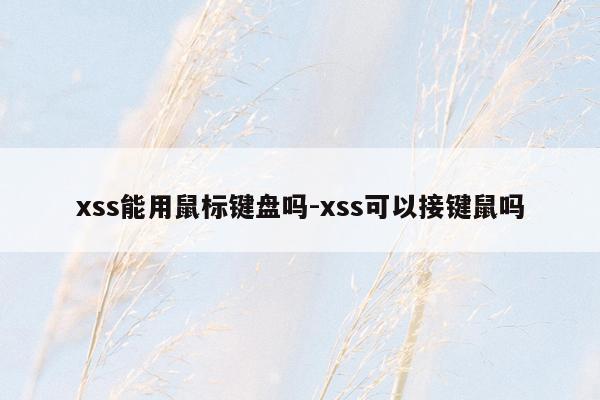 xss能用鼠标键盘吗-xss可以接键鼠吗