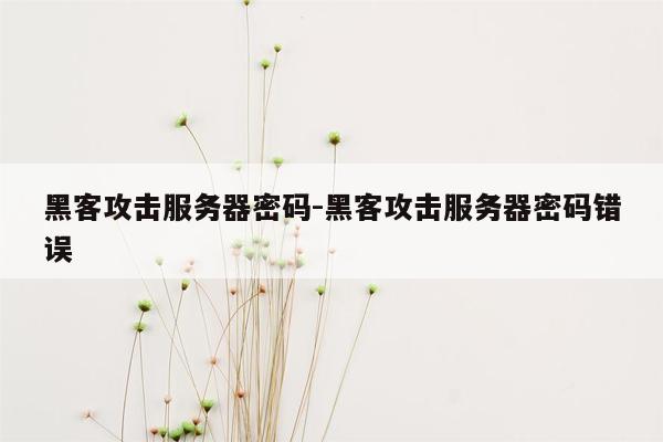 黑客攻击服务器密码-黑客攻击服务器密码错误