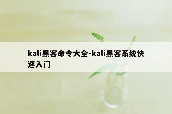 kali黑客命令大全-kali黑客系统快速入门