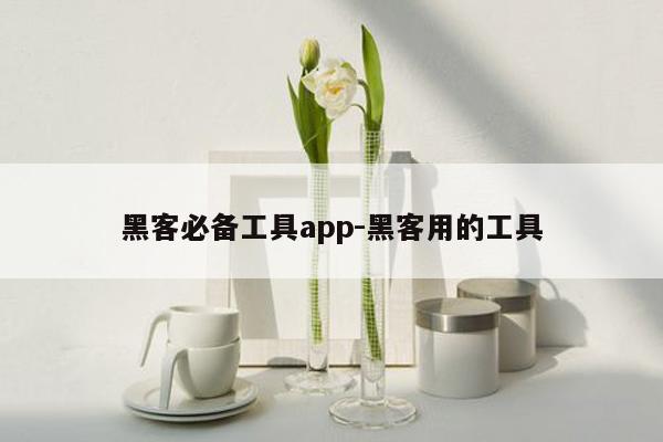 黑客必备工具app-黑客用的工具