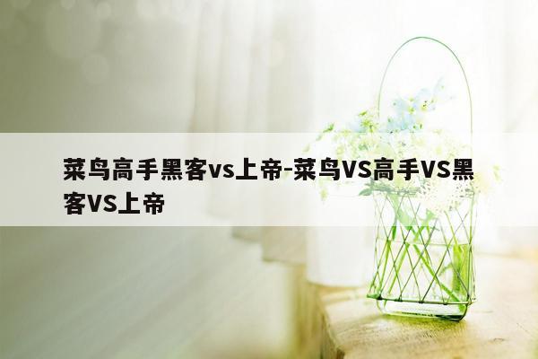 菜鸟高手黑客vs上帝-菜鸟VS高手VS黑客VS上帝