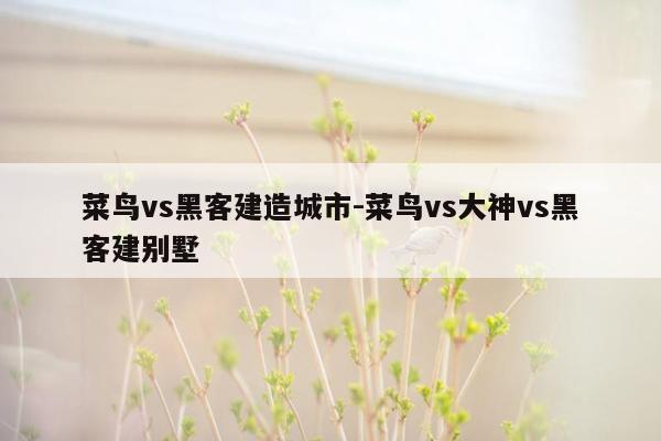 菜鸟vs黑客建造城市-菜鸟vs大神vs黑客建别墅