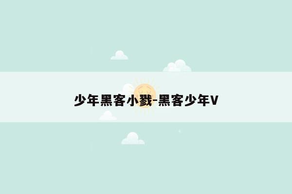 少年黑客小戮-黑客少年V