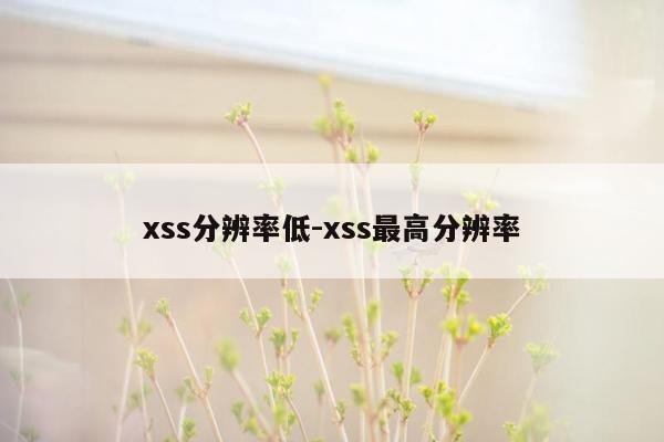 xss分辨率低-xss最高分辨率