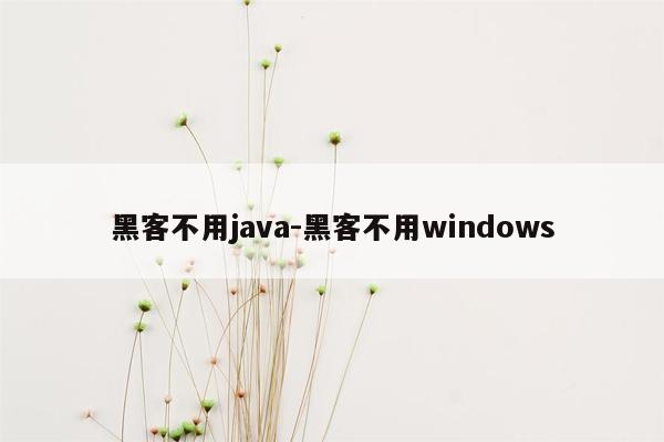 黑客不用java-黑客不用windows