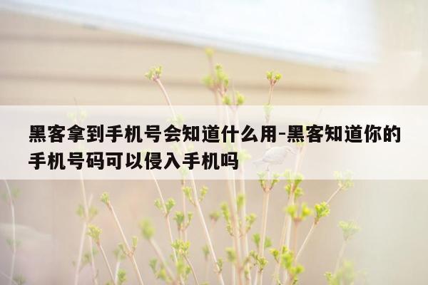 黑客拿到手机号会知道什么用-黑客知道你的手机号码可以侵入手机吗