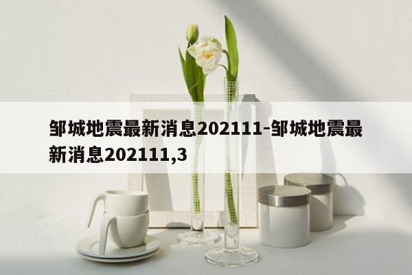 邹城地震最新消息202111-邹城地震最新消息202111,3