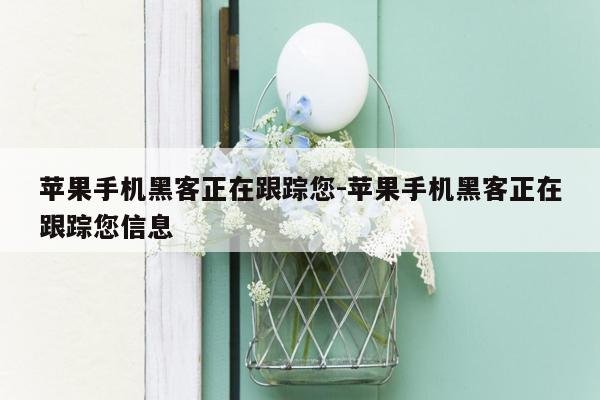 苹果手机黑客正在跟踪您-苹果手机黑客正在跟踪您信息