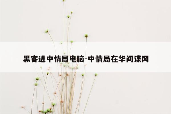 黑客进中情局电脑-中情局在华间谍网