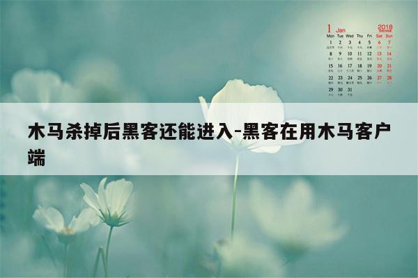 木马杀掉后黑客还能进入-黑客在用木马客户端