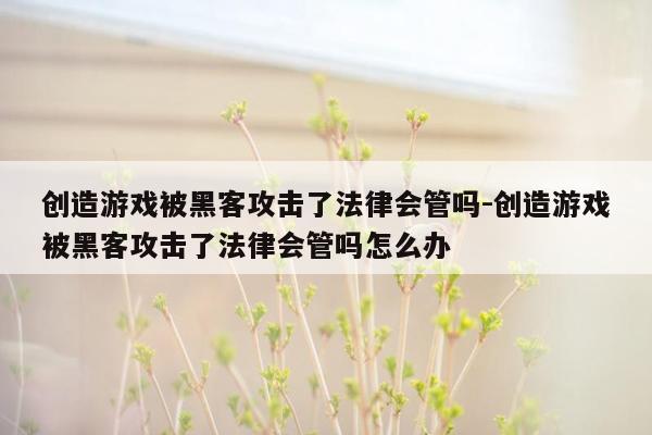 创造游戏被黑客攻击了法律会管吗-创造游戏被黑客攻击了法律会管吗怎么办