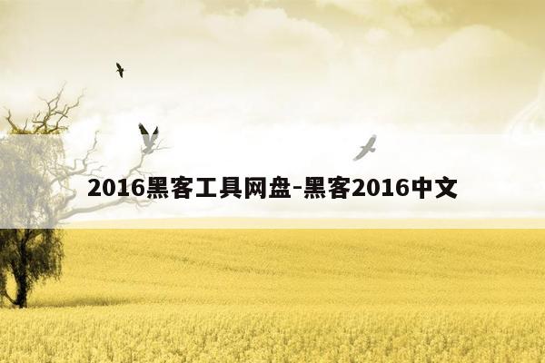 2016黑客工具网盘-黑客2016中文