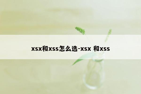 xsx和xss怎么选-xsx 和xss