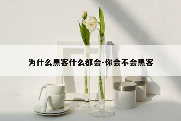 为什么黑客什么都会-你会不会黑客