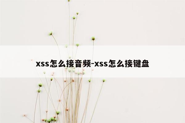 xss怎么接音频-xss怎么接键盘