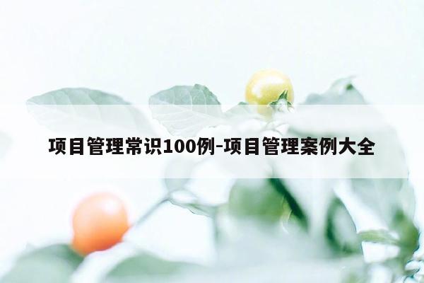 项目管理常识100例-项目管理案例大全