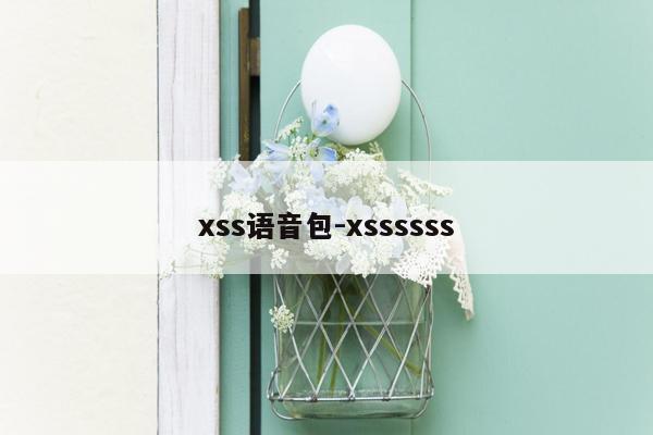 xss语音包-xssssss