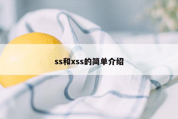 ss和xss的简单介绍