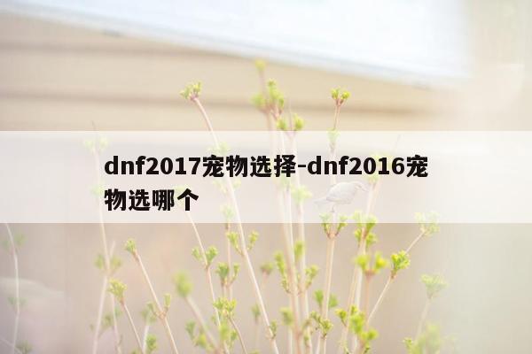 dnf2017宠物选择-dnf2016宠物选哪个