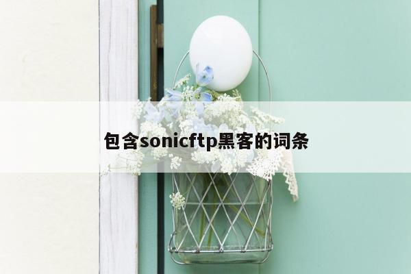 包含sonicftp黑客的词条