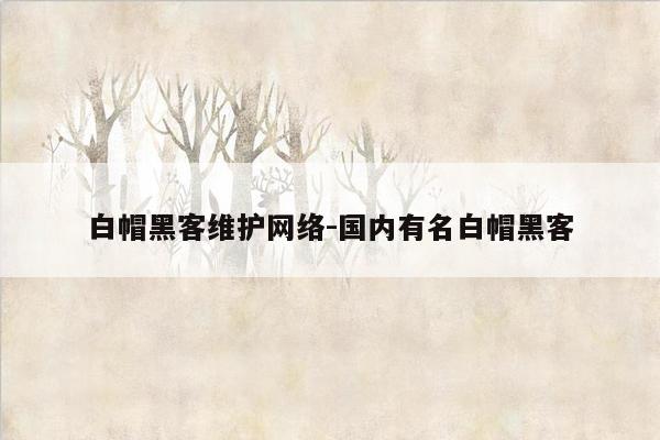 白帽黑客维护网络-国内有名白帽黑客