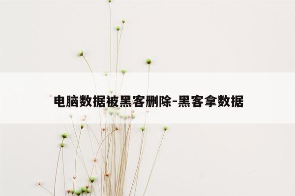 电脑数据被黑客删除-黑客拿数据