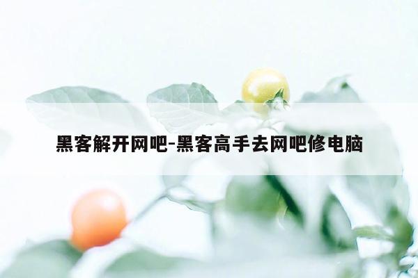 黑客解开网吧-黑客高手去网吧修电脑