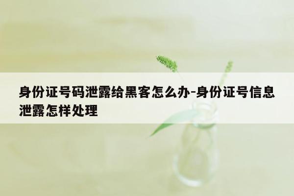 身份证号码泄露给黑客怎么办-身份证号信息泄露怎样处理