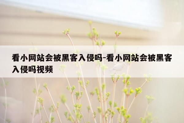 看小网站会被黑客入侵吗-看小网站会被黑客入侵吗视频