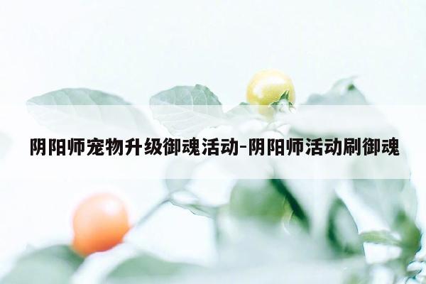 阴阳师宠物升级御魂活动-阴阳师活动刷御魂