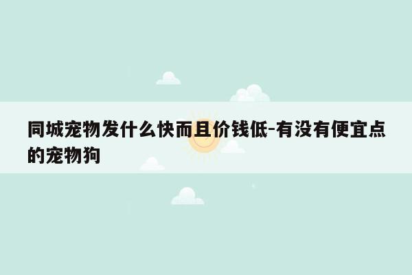 同城宠物发什么快而且价钱低-有没有便宜点的宠物狗