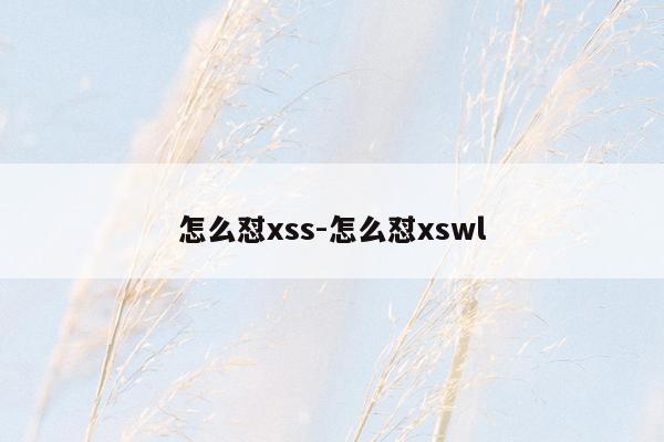 怎么怼xss-怎么怼xswl