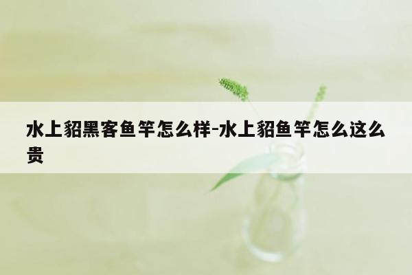 水上貂黑客鱼竿怎么样-水上貂鱼竿怎么这么贵