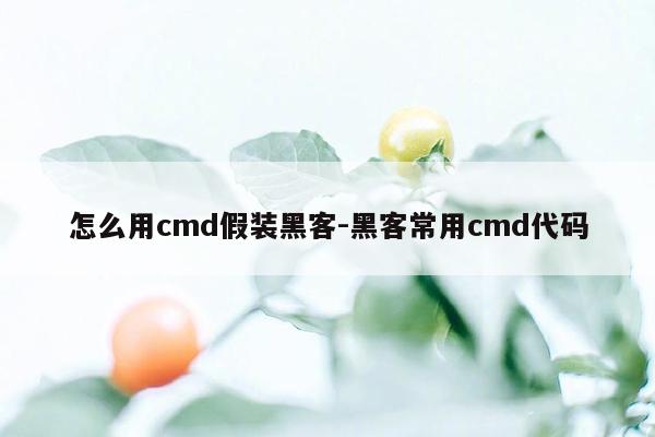 怎么用cmd假装黑客-黑客常用cmd代码