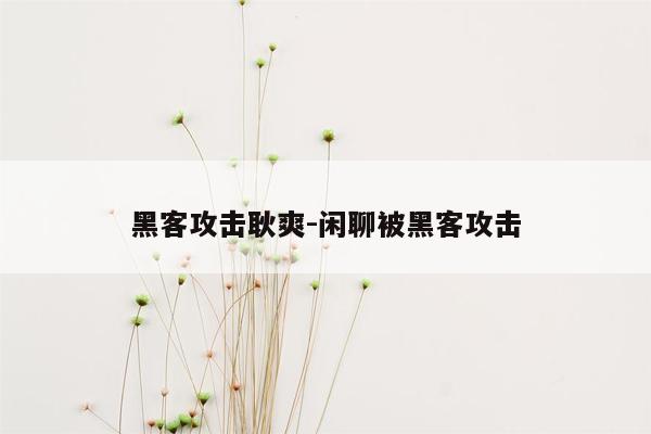 黑客攻击耿爽-闲聊被黑客攻击