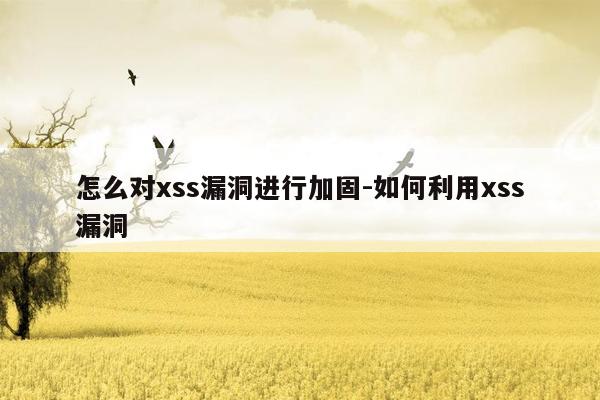 怎么对xss漏洞进行加固-如何利用xss漏洞