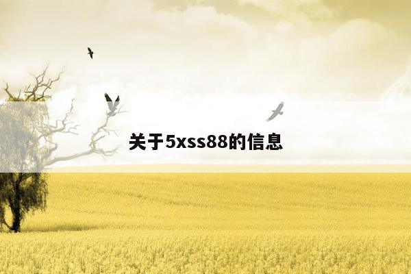 关于5xss88的信息