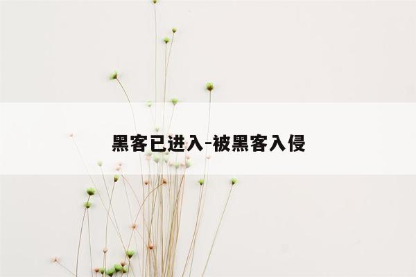 黑客已进入-被黑客入侵