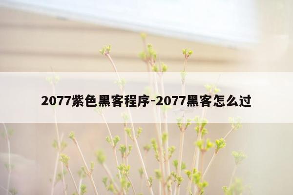 2077紫色黑客程序-2077黑客怎么过