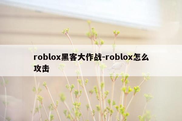 roblox黑客大作战-roblox怎么攻击